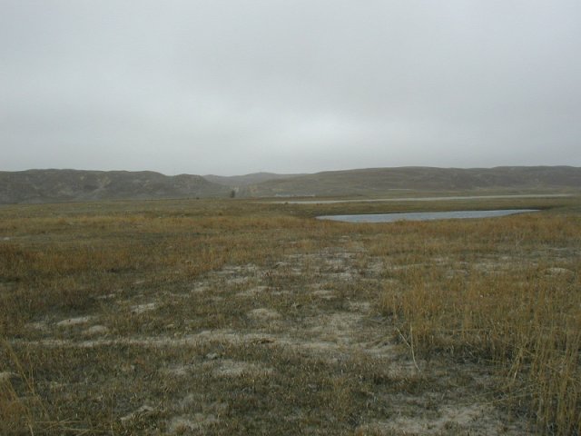 Scene from the site, looking back at the road in.