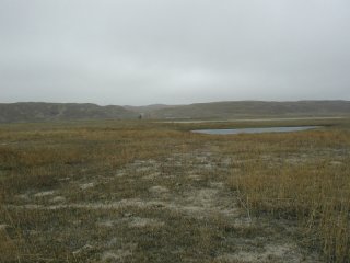 #1: Scene from the site, looking back at the road in.