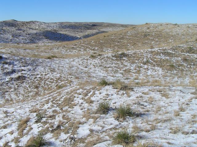 View to the west from the confluence.