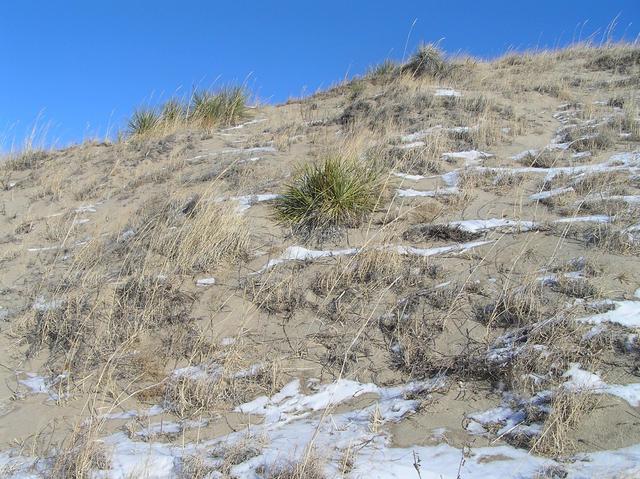 View to the northeast from the confluence.