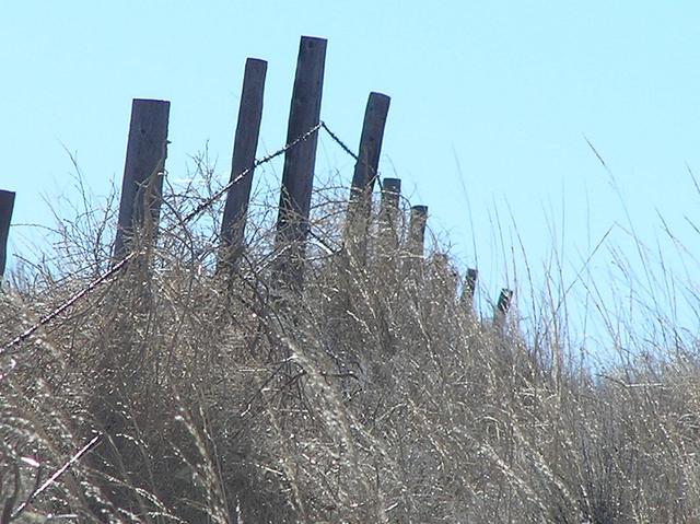 Image that captures the essence of the Nebraska sand hills, taken 500 meters north-northeast of the confluence.