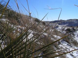 #1: Confluence of 42 North 103 West in the Nebraska Sand Hills, looking south.