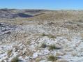 #2: View to the west from the confluence.