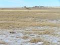 #2: View to the north from the confluence.