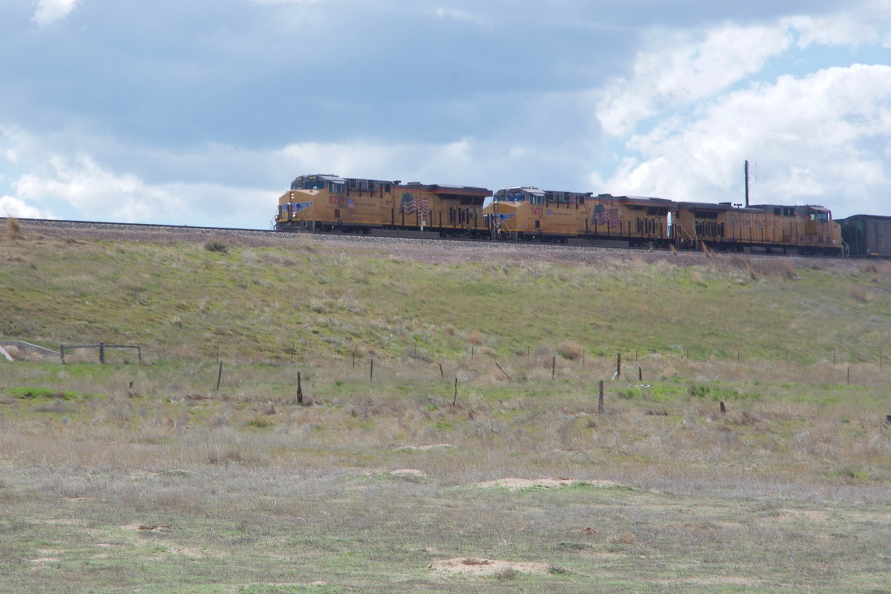 This train - laden with coal - passed by as I walked to the point