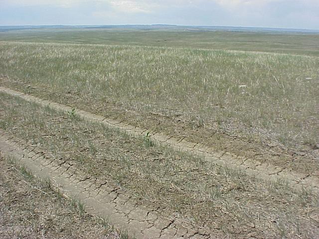 Site of Confluence of 43 N Latitude, 103 W Longitude