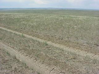 #1: Site of Confluence of 43 N Latitude, 103 W Longitude