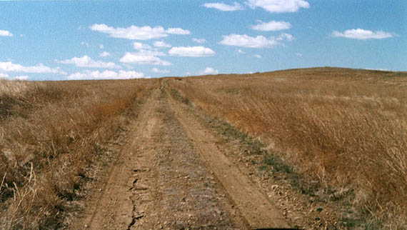 ... to 2 tracks with grass in the middle.