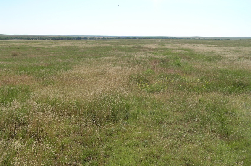 View to the east from the confluence.