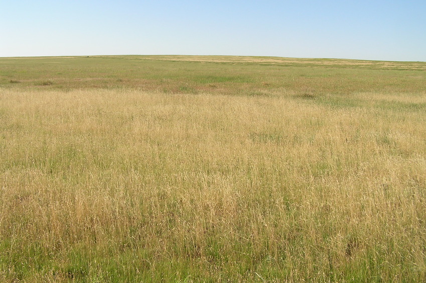 View to the south from the confluence.