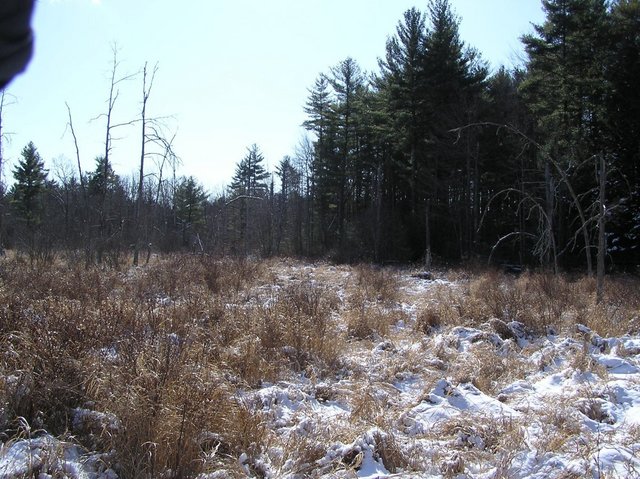 View to the South from confluence