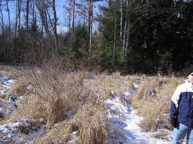 View to the West from confluence