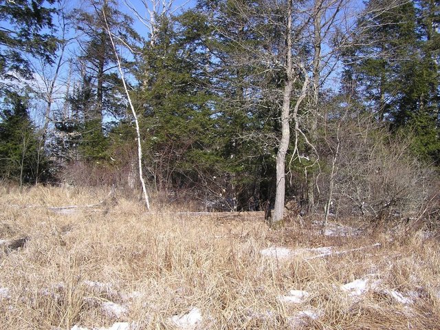 View to the North from confluence