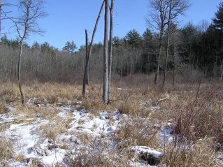 #1: View to the east from confluence