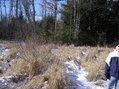 #3: View to the West from confluence