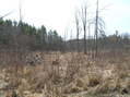 #6: View to the south from the confluence.