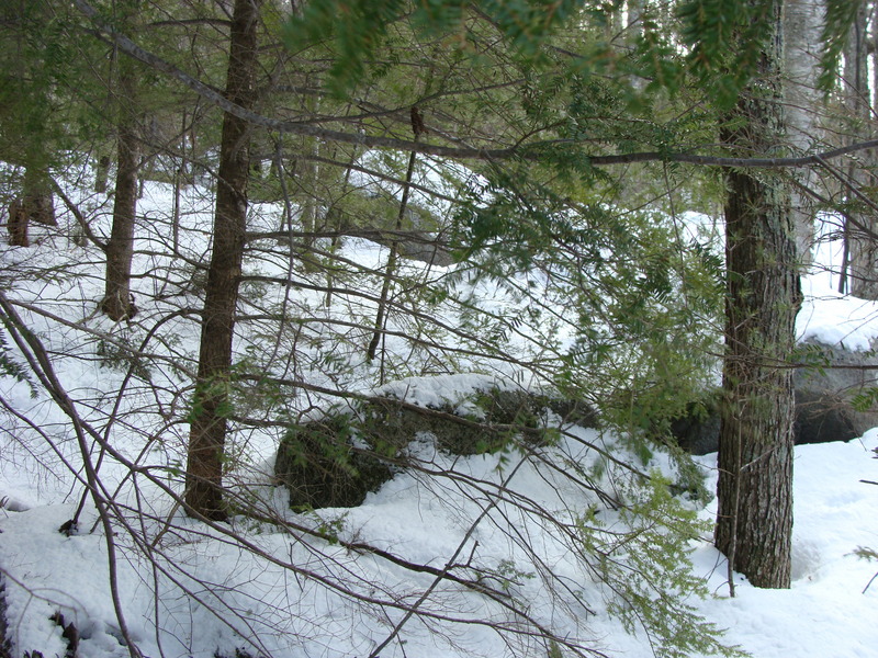 Looking east, uphill from 43N 72W