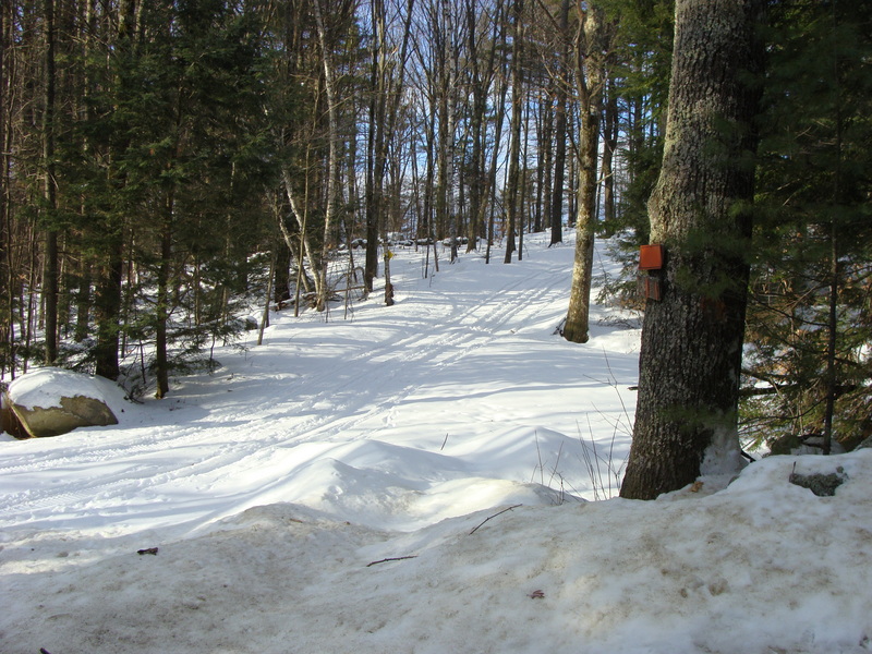 This snowy road off of Depot Road leads to Carpenter’s Marsh WMA.