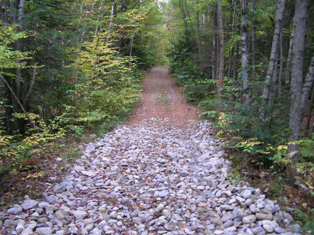 Beautiful trail leading to the confluence.