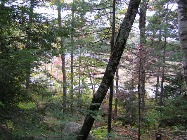 View to the southwest from the confluence.