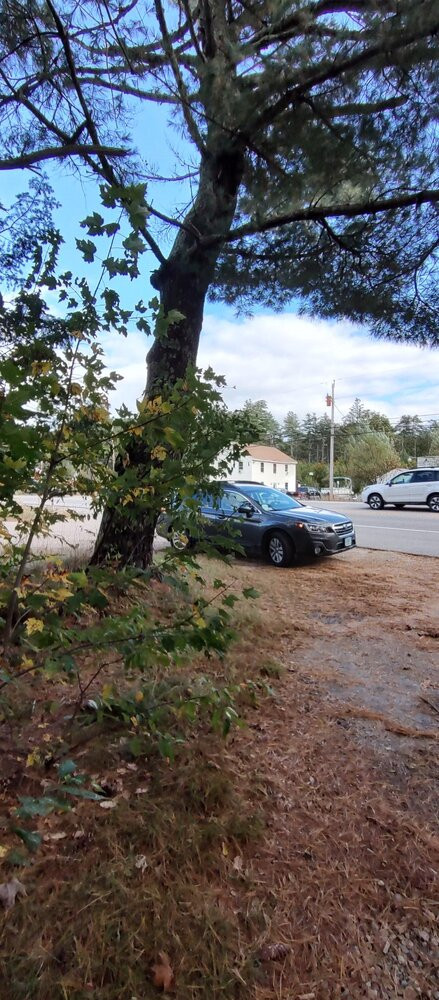 Looking east (towards end of driveway, wife is waiting in the car)