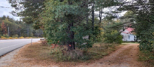 #1: View towards confluence from end of driveway