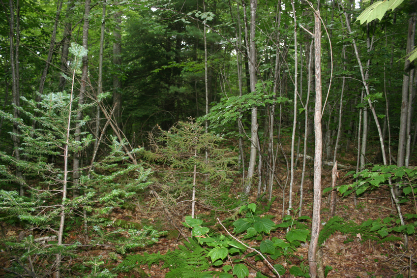 North of confluence point