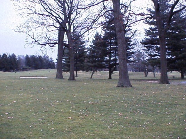 View of confluence from the West (looking East)