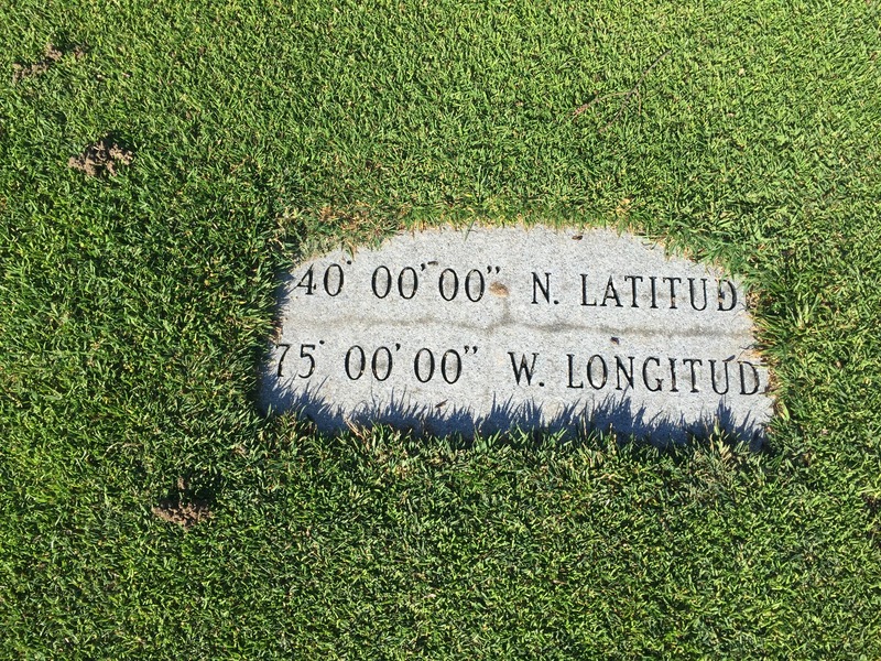 Ground cover at the confluence. 