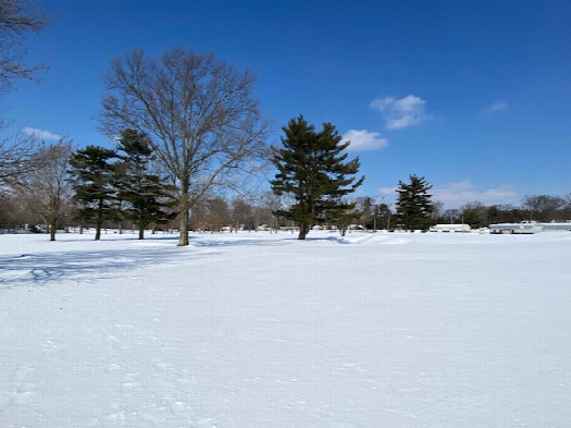 #1: North, with maintenace shed to the right