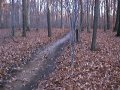 #3: ATV trails near the confluence.