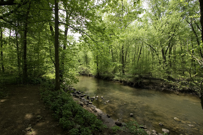 Trout fishing anyone?