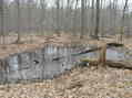 #6: Looking east at the bog from the confluence.