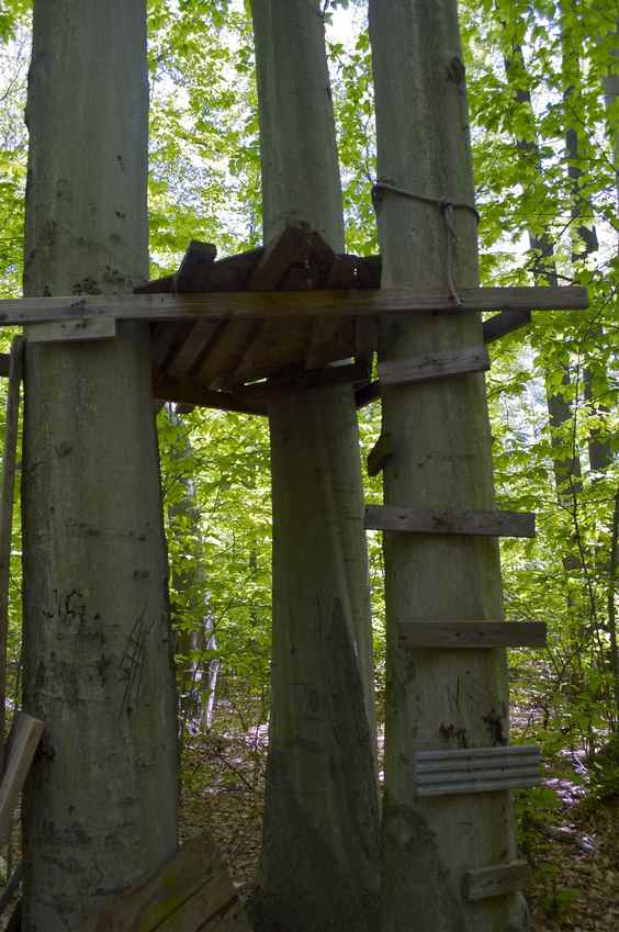 The 'confluence treehouse' - just 70 feet south of the confluence point