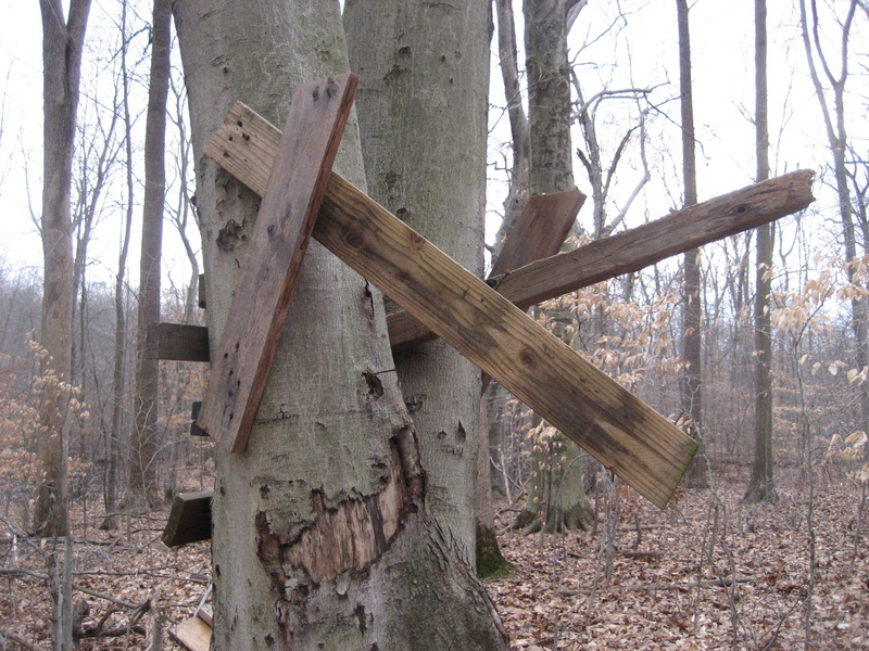 Treehouse in disrepair.