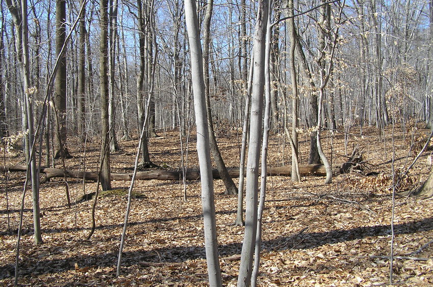 View of 41 North 74 West is in the foreground in this view to the west.