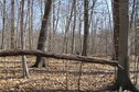 #5: View to the east from the confluence.