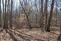 #7: View to the south from the confluence.