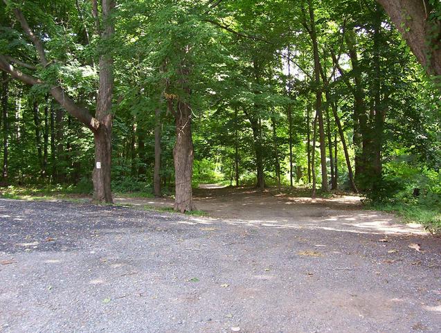 The trailhead is on Old Tappan Road near the Hackensack River