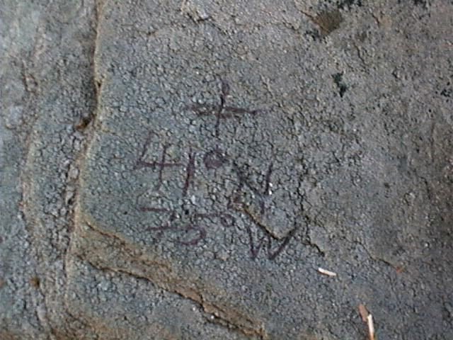 Scratched in lichen, a monument to the confluence.