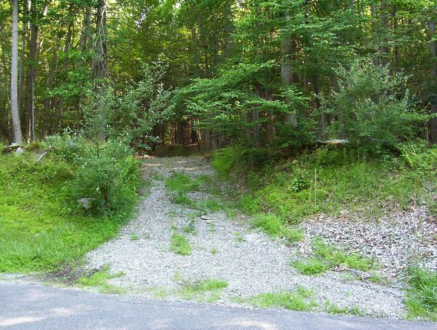 I followed this trail into the woods, but it soon peters out