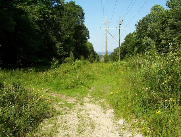 The trail forks; which way is easier going back?