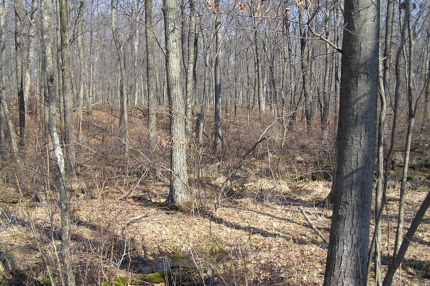 View of the site of 41 North 75 West in the foreground, looking north-northeast.