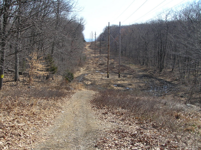 View of the "confluence valley".  The confluence is in the bottom of the valley, on the left side of the clear cut, just past the muddiest spot.