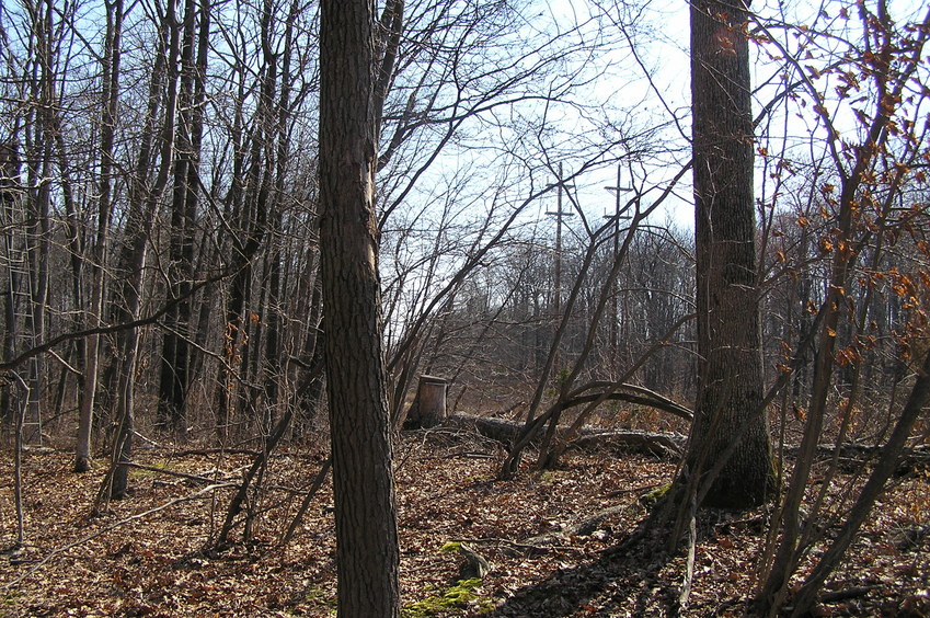 View to the east-southeast from the confluence.