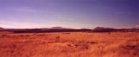 #3: Looking southwest.  Cedar Mtns in the background.