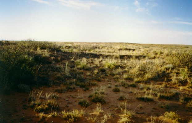 Looking north from N33 W104