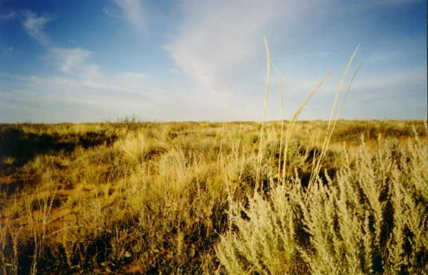 Barren northeastern horizon from N33 W104