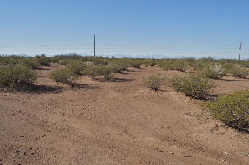 View West (back towards the railroad tracks)