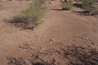 #1: The confluence point lies in a thinly vegetated desert area